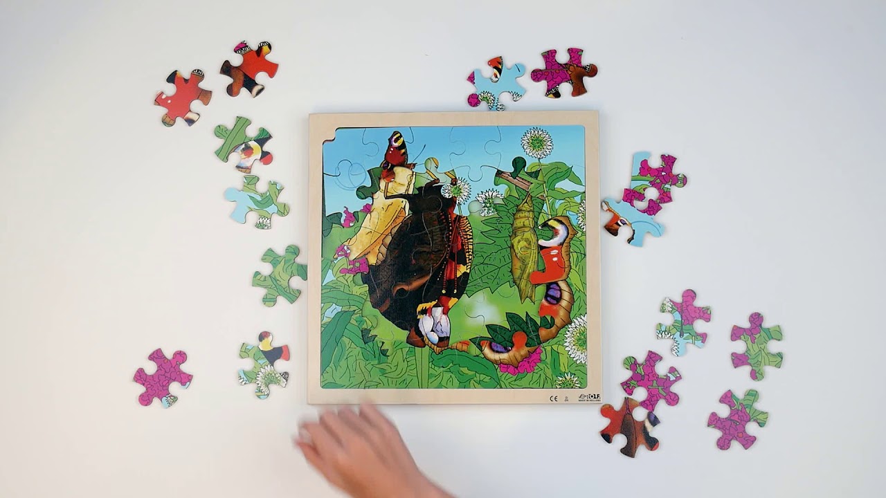 Groeipuzzel Vlinder