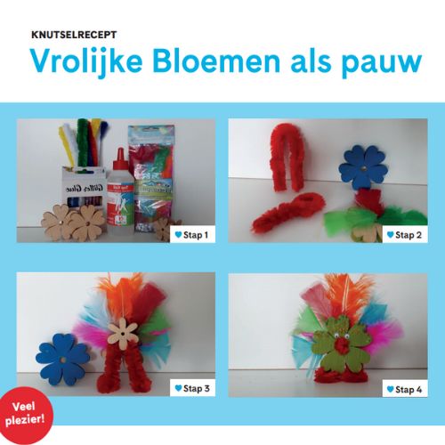 knutselrecept pauw