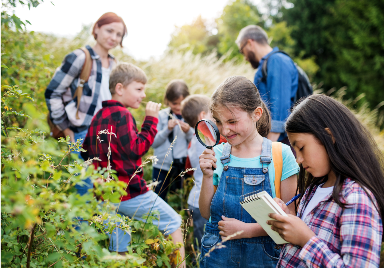 kinderen die de natuur aan het ontdekken zijn