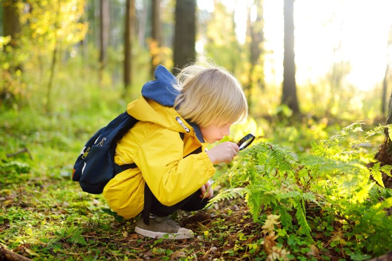 kind aan het zoeken in de natuur