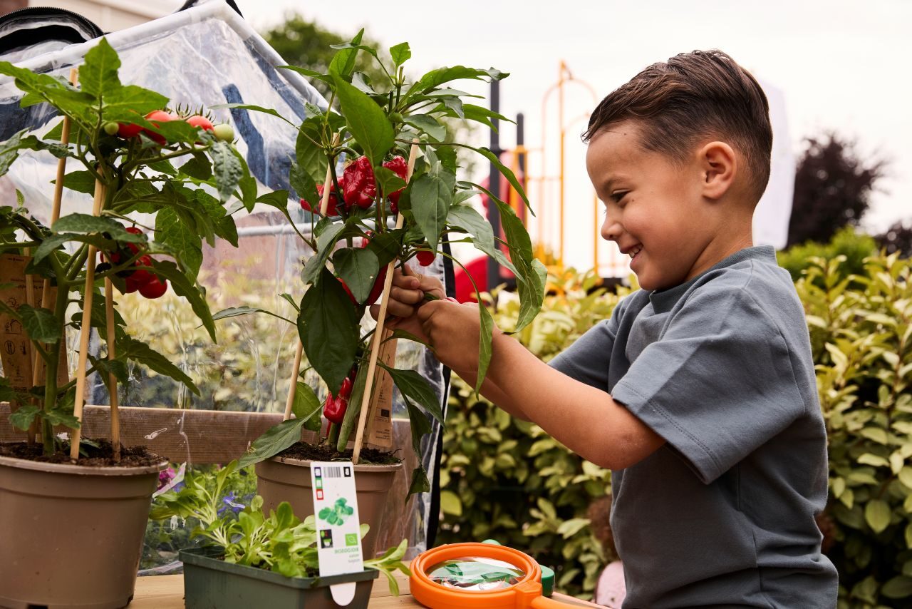 blog planten